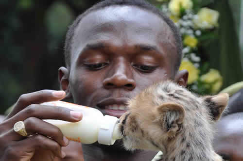 JAMAICAN SPRINTER USAIN BOLT NAMES AND ADOPTS KENYAN CHEETAH