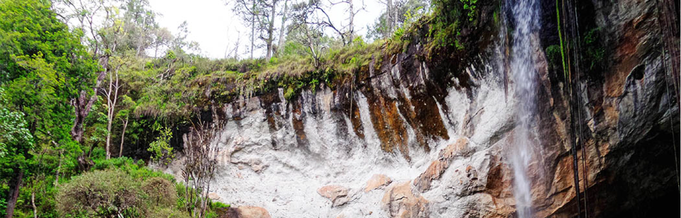 Untamed Wilderness, Secluded Splendor