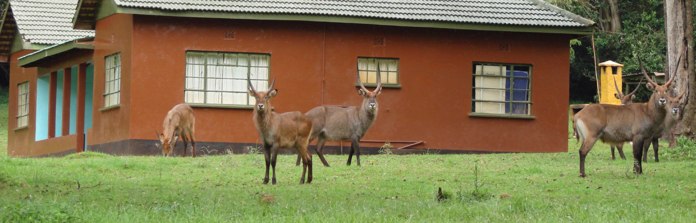 Untamed Wilderness, Secluded Splendor