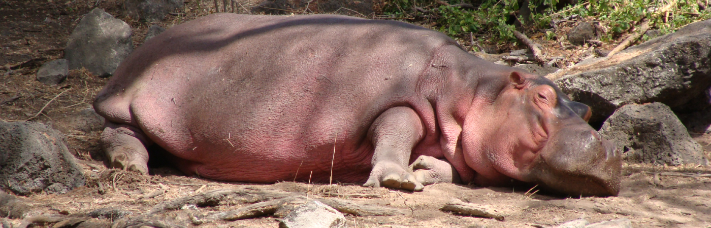 An undiscovered oasis of tranquility