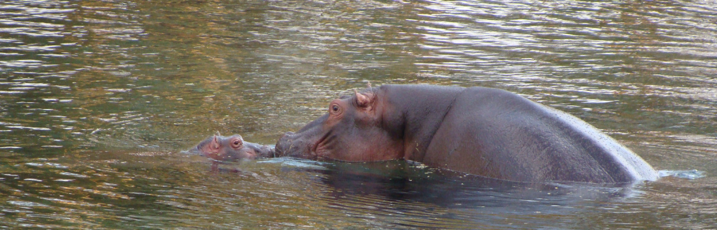 An undiscovered oasis of tranquility