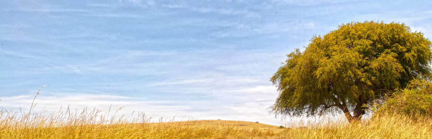 Island of Serenity and Beauty