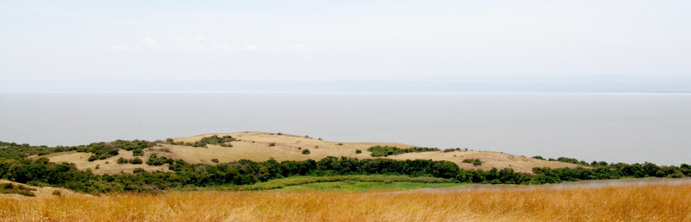 Island of Serenity and Beauty