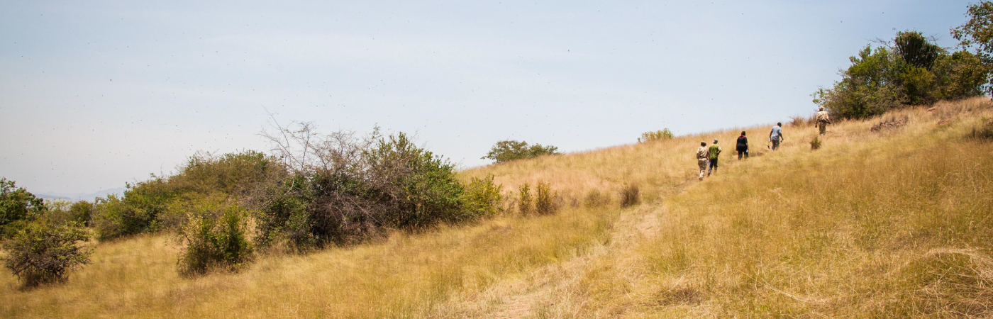 Island of Serenity and Beauty