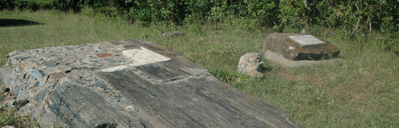 Ultimate Panoramic Experience