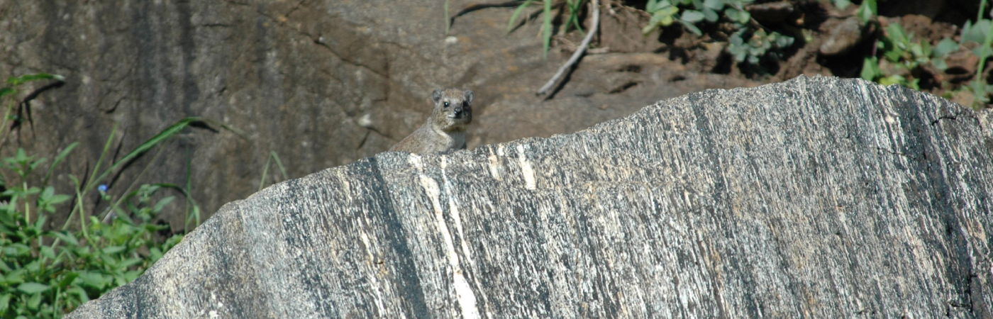 Ultimate Panoramic Experience