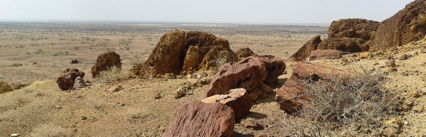 The Cradle of Mankind