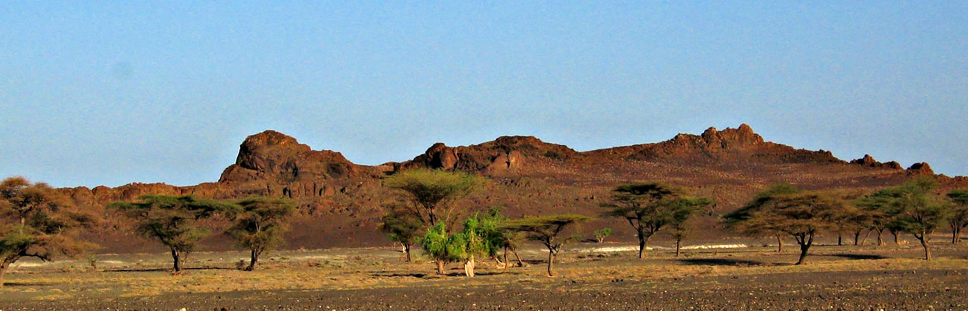 The Cradle of Mankind