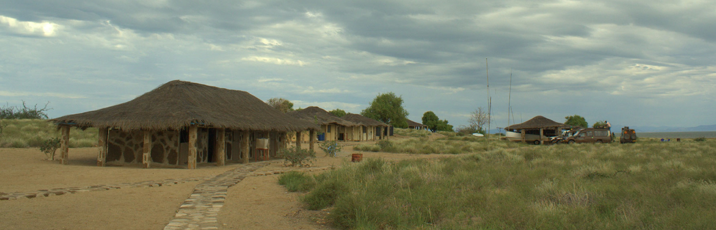 The Cradle of Mankind