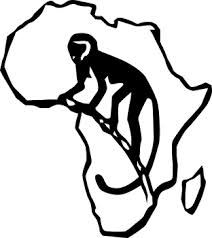 Institute of Primate Research