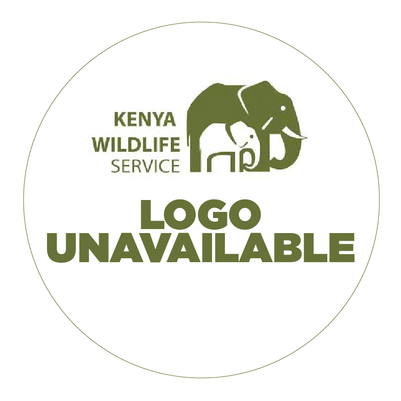 No Logo Available