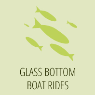 Glass Bottom Boat Rides