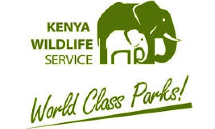 WILDLIFE CONSERVATION AND MANAGEMENT ACT 2013 CALL FOR PUBLIC PARTICIPATION TO DEVELOP REGULATION AND GUIDELINES