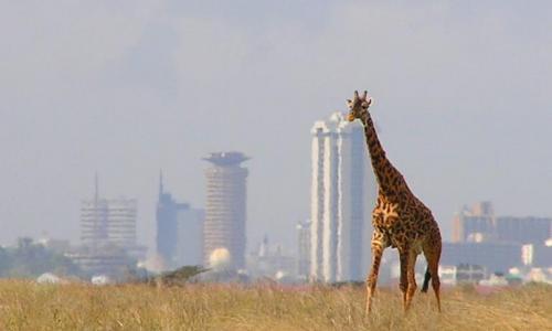 where is nairobi safari park